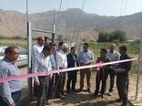 آبیاری تحت فشار 52 هکتاری تخت خواجه ارزوئیه به مناسبت هفته جهاد کشاورزی به بهره برداری رسید