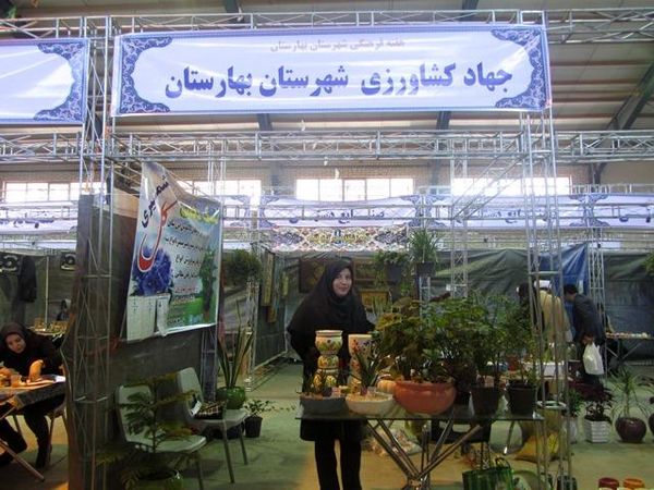 برپایی غرفه تولید گل وگیاهان آپارتمانی توسط بانوی کارآفرین بهارستانی