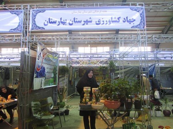 برپایی غرفه تولید گل وگیاهان آپارتمانی توسط بانوی کارآفرین بهارستانی