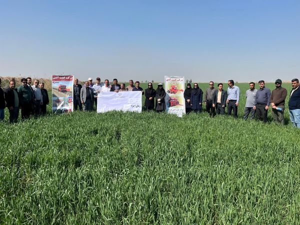 بازدید کشاورزان پیشرو مرودشتی از مزارع کشاورزی حفاظتی خوزستان