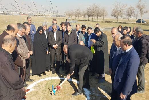 بازدید استاندار قزوین از یک واحد تولید نشا، سبزی و صیفی در شهرستان آبیک