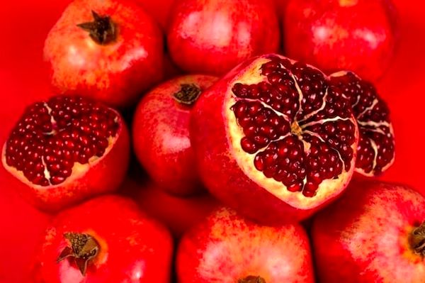 افتتاح اولین کارگاه دانه گیر انار در بیضا