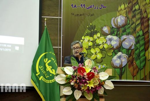 توسعه 616 هزار هکتاری کشت کلزا در سال زراعی 99-98