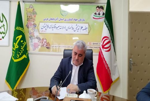 سالانه 601 هزار تن انواع محصولات دام و طیور در آذربایجان غربی تولید می شود