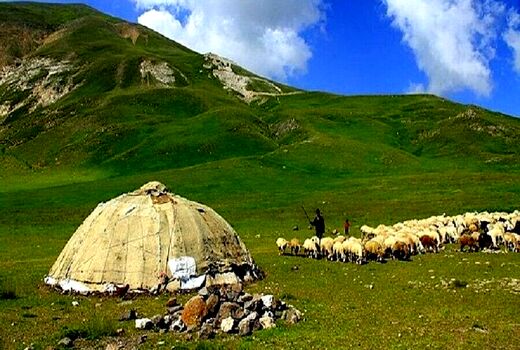 احاله مدیریت مرتع با آموزش، ترویج هدفمند و مشارکت محلی شتاب می‌گیرد