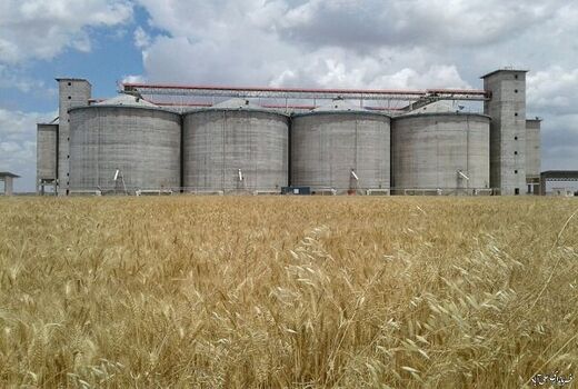 ثبت دقیق رطوبت گندم در آغاز و پایان ذخیره‌سازی برای جلوگیری از زیان دولت و سیلوداران