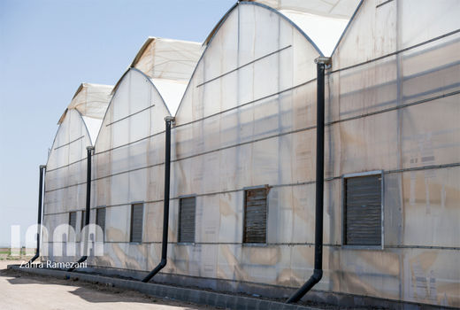 سرمایه گذاری بخش خصوصی برای توسعه گلخانه ها در شهرستان سراوان