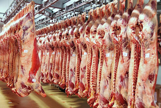 امضای قرارداد با هشت سردخانه جدید در سال جاری