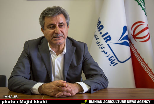 موانع اجرای طرح خوداتکایی کشور در دانه‌های روغنی