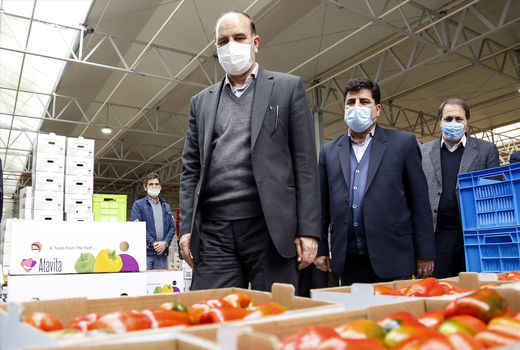 تاکید استاندار آذربایجان‌شرقی بر توسعه کشت گلخانه‌ای در جلفا