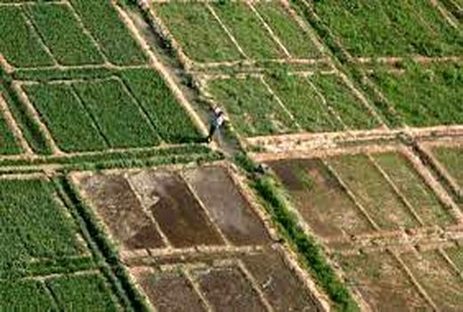 بررسی پرونده‌های واگذاری زمین به طرح‌های وابسته به کشاورزی و غیر کشاورزی خوزستان