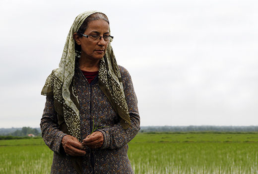 کاری کارستان؛ با یک گل هم بهار می‌شود