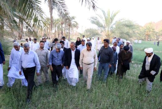 قدردانی وزیر جهاد کشاورزی از مشارکت همگانی برای مبارزه با آفت ملخ صحرایی در سیستان و بلوچستان