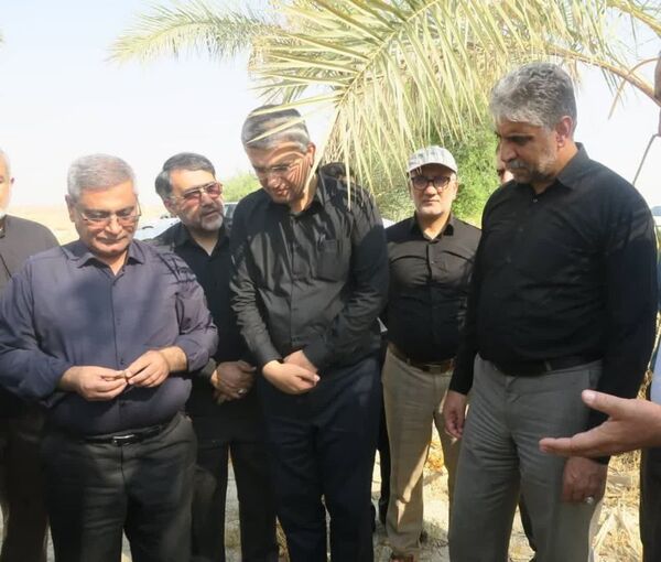بازدید غلامرضا هادربادی از نخیلات شهرستان دشتستان