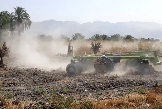 کاشت حبوبات در قیروکارزین شروع شد 