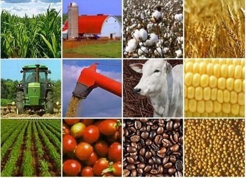 مدیریت زنجیره ارزش محصولات کشاورزی و غذایی کشور یکپارچه می شود