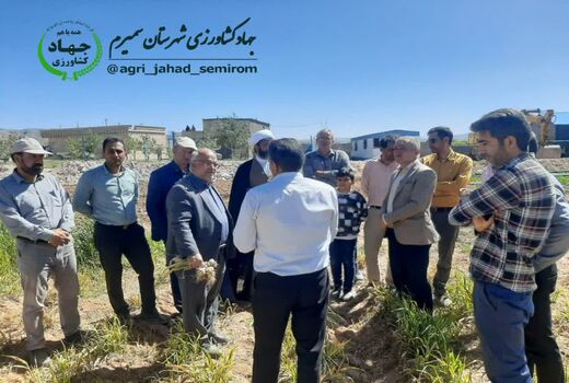 بازدید از اجرای عملیات احداث گاوداری 10 هزار رأسی و مزرعه گیاعان دارویی بخش وردشت
