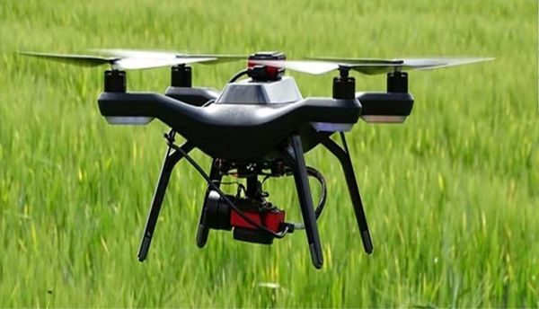 تولید پایدار با مدیریت هوشمند آفات 