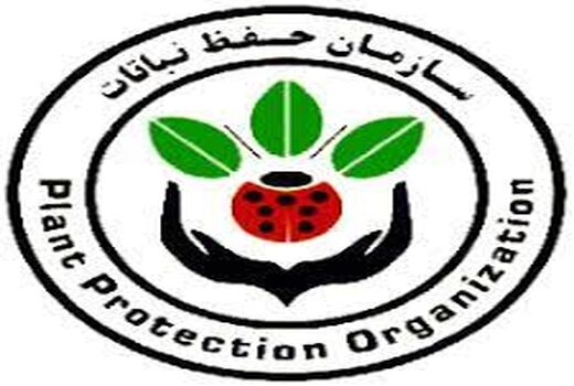 توزیع سم تقلبی پرایم پلاس EC125
