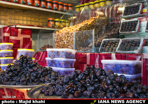 خرمای مجول سازگار با شرایط اقلیمی فارس