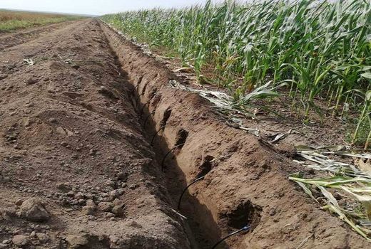 آبیاری زیرسطحی در خراسان رضوی