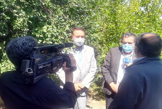 افزایش20 درصدی عملکرد انواع محصولات کشاورزی در سایه مشارکت بسیج مهندسین و جهادکشاورزی 