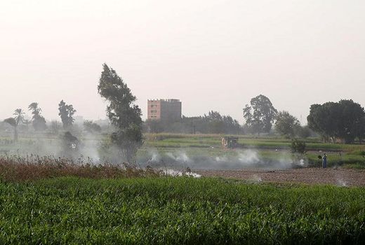 گفت‌وگوی وزارت آبیاری مصر و فائو در مورد پروژه 