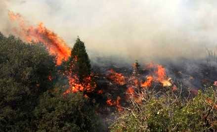 درخواستی از سازمان جنگل‌ها برای اطفای حریق جنگل‌های گلستان نداشتیم/ محلول‌پاشی روزانه در 300 هکتار از مزارع چغندرقند با هواپیماهای خدمات ویژه
