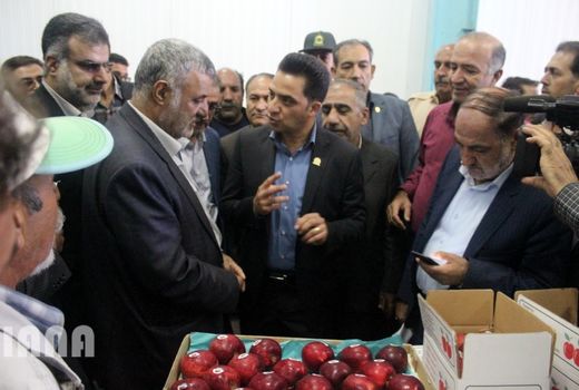 سفر وزیر جهاد کشاورزی به استان فارس و بازدید از پروژه های بخش کشاورزی