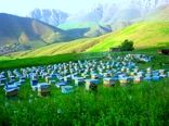 آغاز کوچ زنبوردارن به هرمزگان