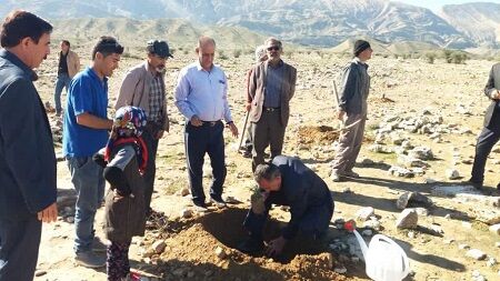20 هکتار از منابع طبیعی قیروکارزین احیا شد