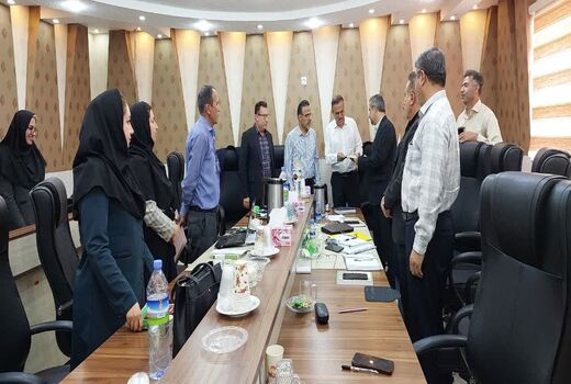 اتمام رفع تداخلات در شهرستان‌های دیلم، جم و دیر/ ۱۱۸ پلاک تعیین تکلیف شد