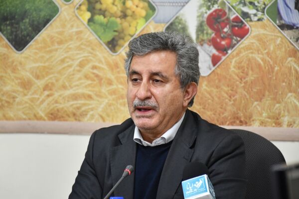 نقش دیمزارها در تغذیه با طرح «جهش تولید» برجسته شد
