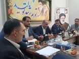 افزایش ۲.۵ برابری خرید گندم در استان لرستان