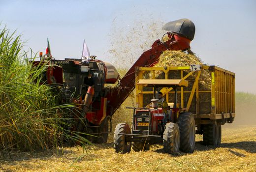 ورود ماشین‌آلات کشاورزی / برداشت نیشکر هم مشمول شد