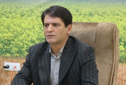 افزایش کارایی مصرف آب؛ با چینش کاشت جدید در سیب‌زمینی