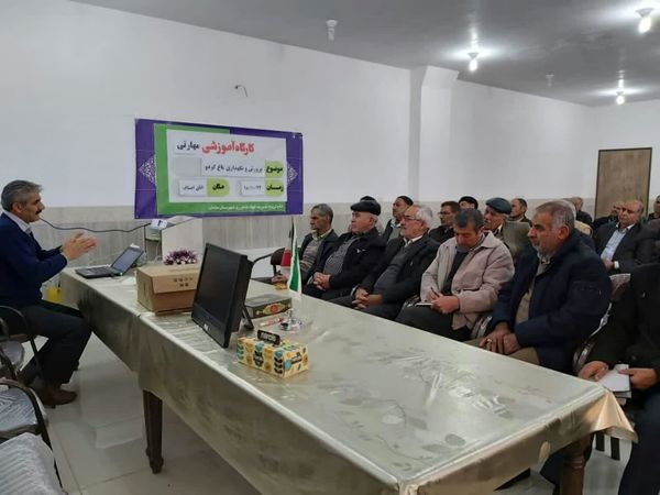برگزاری کارگاه آموزشی مهارتی پرورش و نگهداری باغ گردو