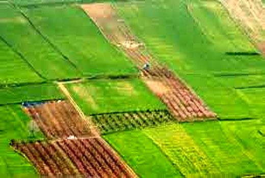 راه‌اندازی سامانه پنجره واحد مدیریت زمین