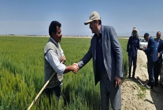 بازدید از پروژه 530 هکتار از مزارع کشاورزان روستای اشکهران اصفهان