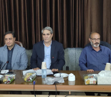 پرداخت ۵۰ درصد مطالبات کلزاکاران آذربایجان شرقی/ تسویه کامل مطالبات کلزاکاران مرند، کلیبر و خداآفرین