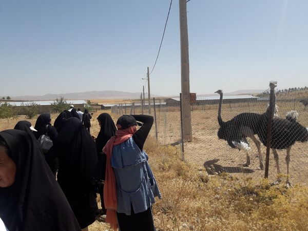 ایجاد اشتغال پایدار برای زنان روستایی اصلی‌ترین هدف است