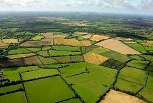 65 هکتار از اراضی خراسان شمالی جهت اجرای طرحهای کشاورزی و غیر کشاورزی واگذار شد