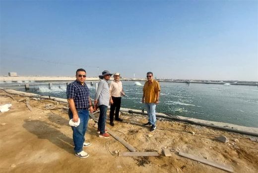 پرورش میگو ‌در دل بحران بیماری AHPND