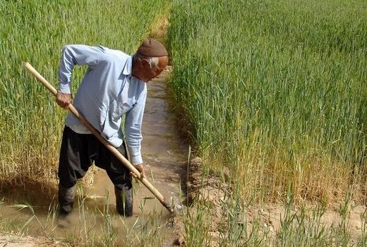 مهلت پرداخت حق بیمه کشاورزان و عشایر یزد تمدید شد