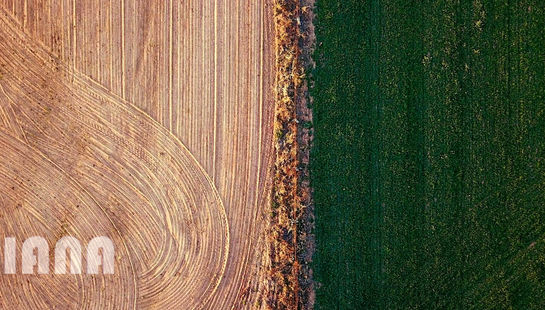 سرطان زمین‌های کشاورزی