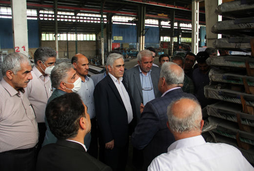 معاون زراعت وزیرجهاد کشاورزی و هیئت همراه روزپنجشنبه (پنجم خرداد) برای بازدید از بخش کشاورزی خراسان رضوی وارد مشهد مقدس شدند