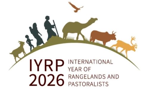 ایران با ۸۳ میلیون هکتار مرتع، بازیگر مهم رویداد جهانی ۲۰۲۶ 