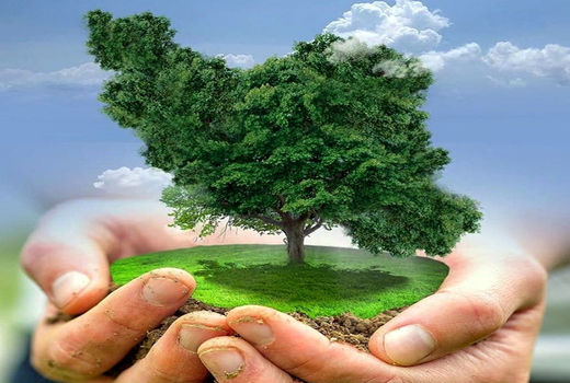 فرهنگ حراست از منابع طبیعی و خدادادی در جامعه نهادینه شود 