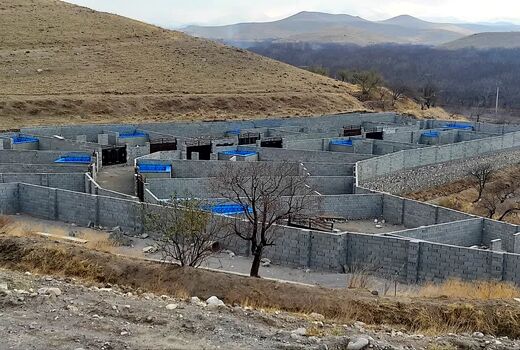 شناسایی و تغییر کاربری ۲۰ مورد ساخت و ساز غیرمجاز در اراضی کشاورزی روستای اسفنجان اسکو