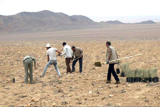 اجرای عملیات بیابان‌زدایی در جنوب غرب تهران